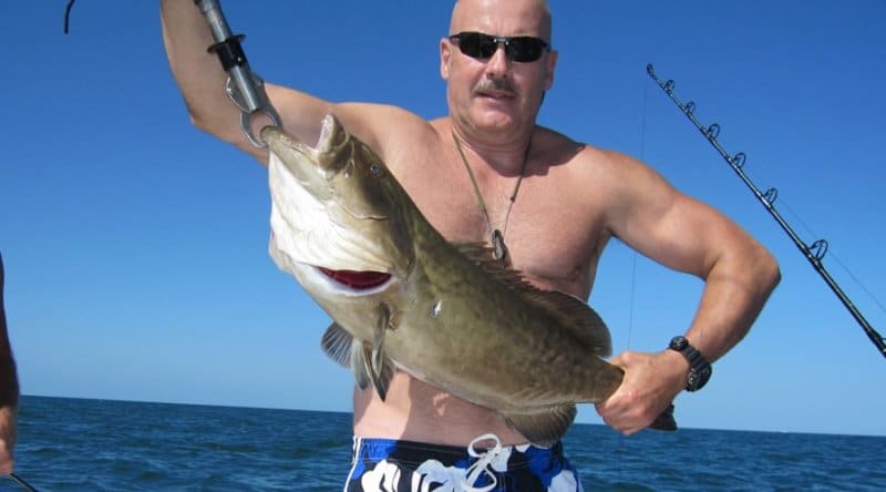 Live bait works with all water temperature on red grouper
