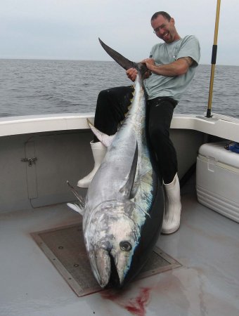 Five giant yellow-fin tuna on one strike. A rare occurrence fishing here in  Hawaii! - Picture of Hunt Fish Kauai - Tripadvisor