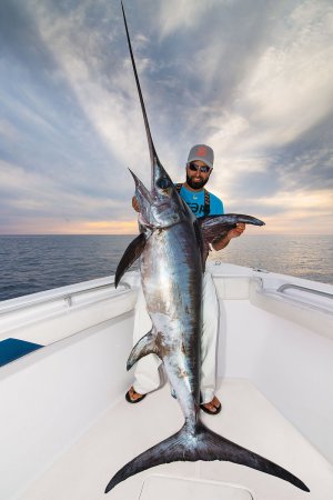 Angler catches 'monster' fish, Fishing