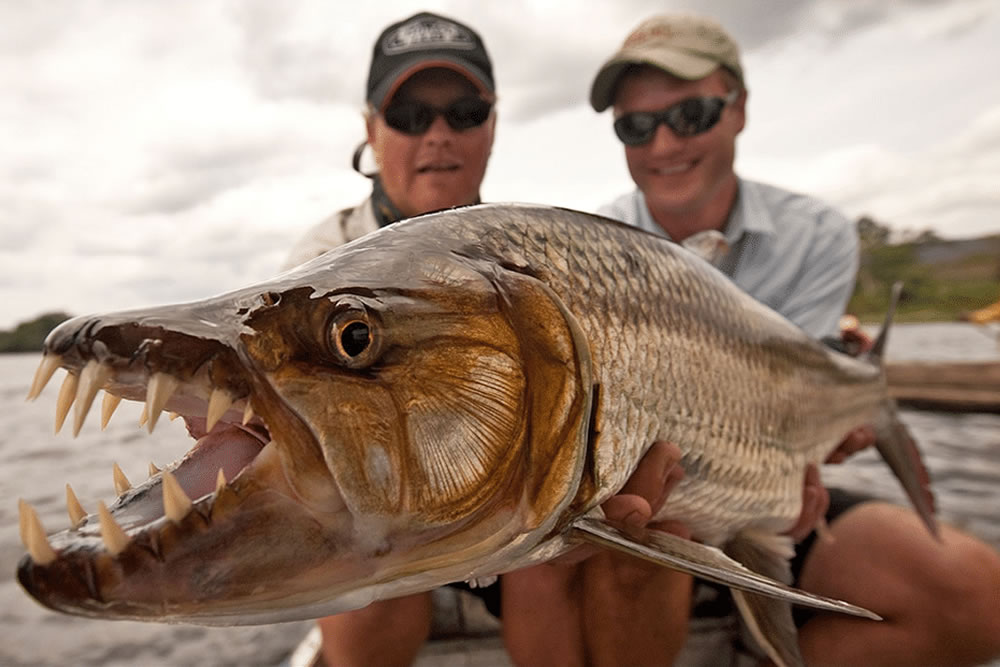 BAD WEATHER & WE STILL CAUGHT FISH!! Clearwater Fishing at it's