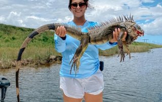 Hunting green iguanas