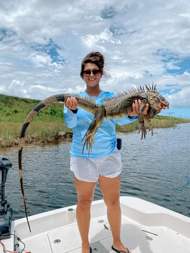 Hunting green iguanas