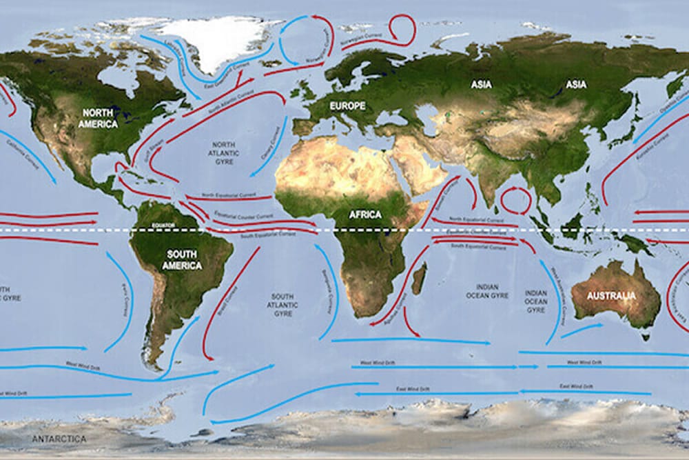 Why do fish like the Gulf Stream?