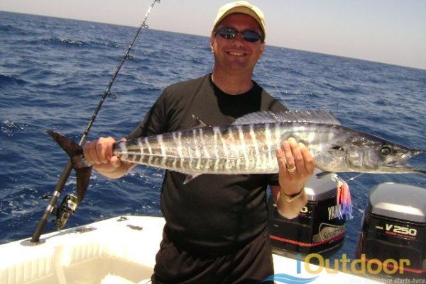 How to Fish for Wahoo Using Slow Trolling Speeds