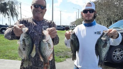 Speckled perch are loving live minnows and open water around Polk