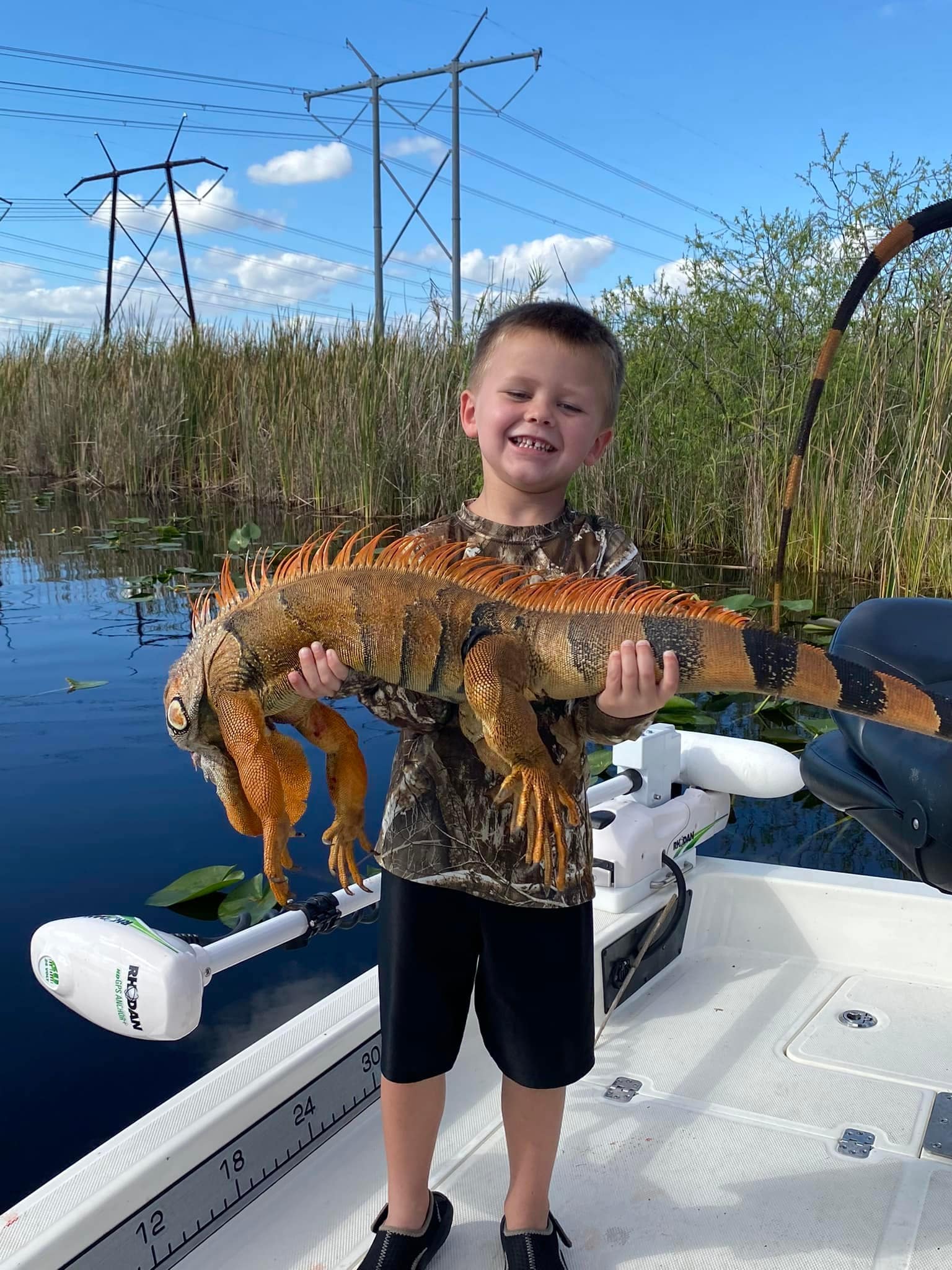 Top Iguana Hunting in Florida Hunt Invasive Iguanas No Limit