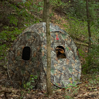 Ground blind hunting