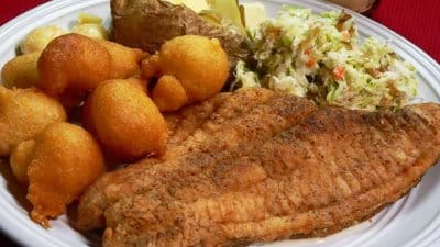 Big catfish species dinner