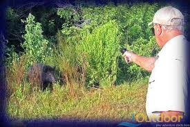 South Florida hog hunts full day hog hunt - Florida hog hunt