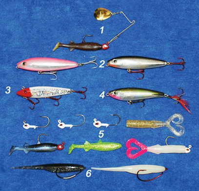 What to Bring Redfish fishing