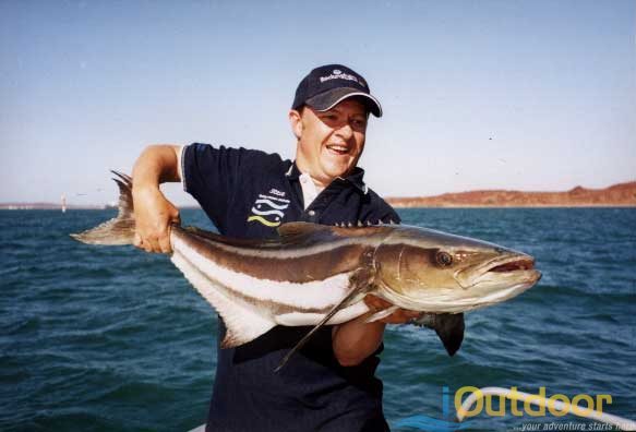 Cobia Fishing