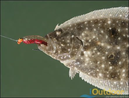 Fishing for Flounder near Daytona Beach