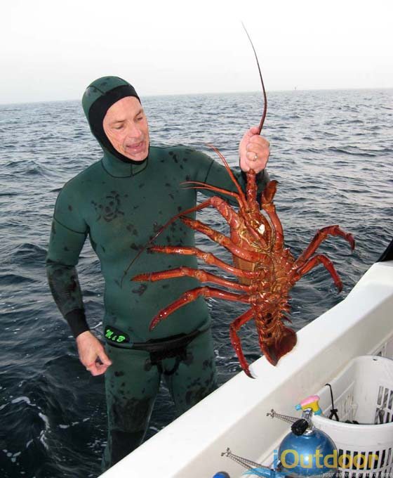 Lobster Catching in Florida