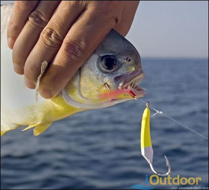 Calendar - Saltwater Lures