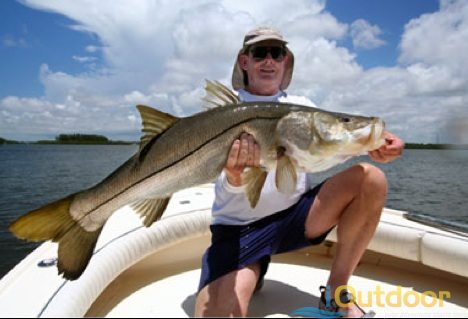 Recreational Harvest Snook Season