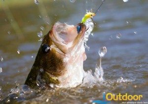 Bass Fishing with Artificial Baits - iOutdoor Adventures Tips & Tricks