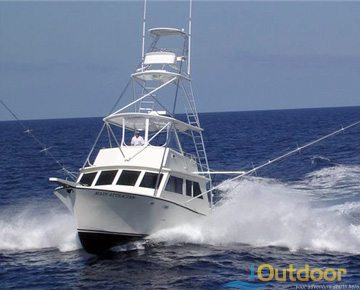 Charleston Fishing Charter