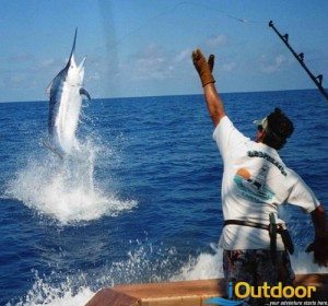 Marlin Fishing