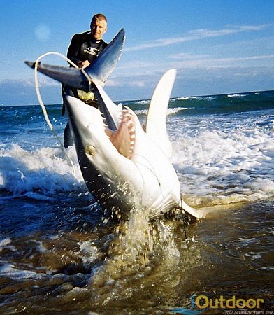 Shark Fishing from the Beach, The Beach Angler