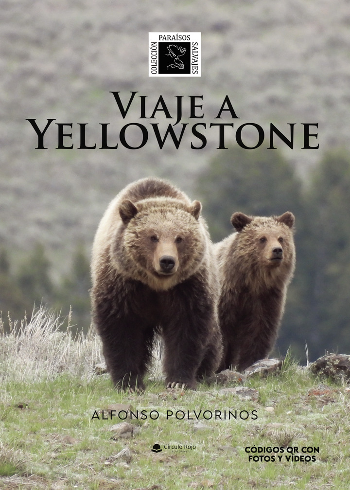 Viaje a Yellowstone