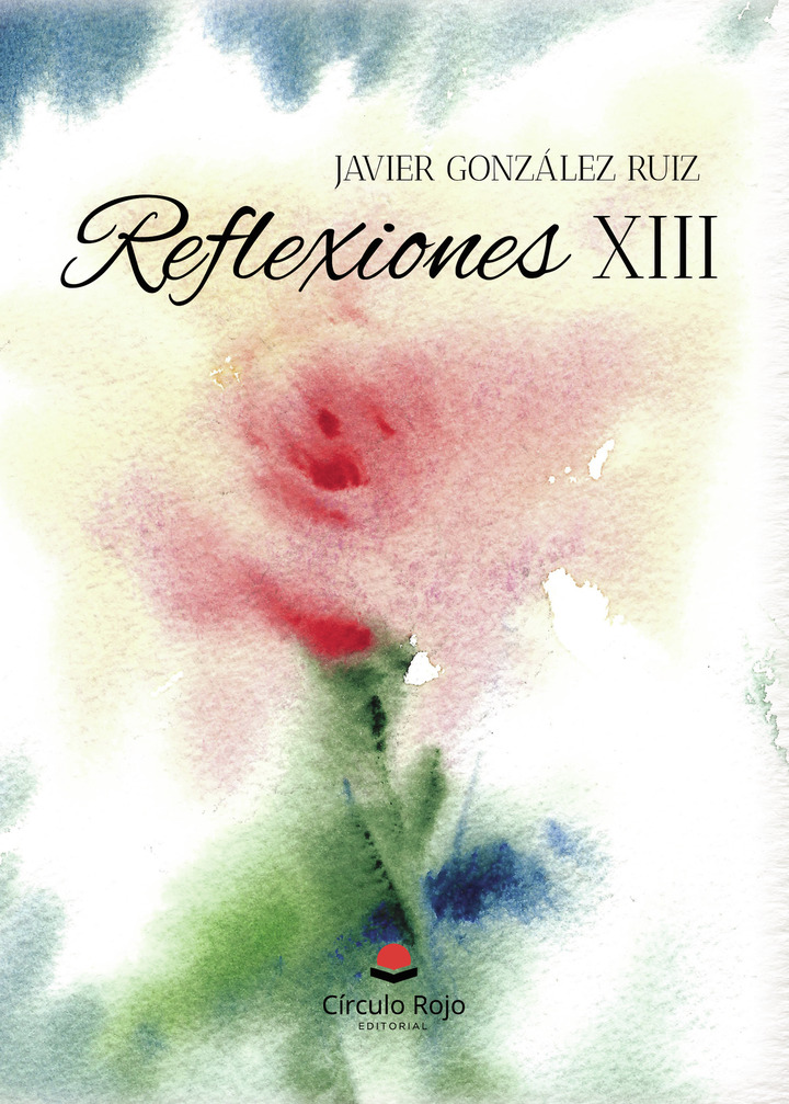 Reflexiones XIII