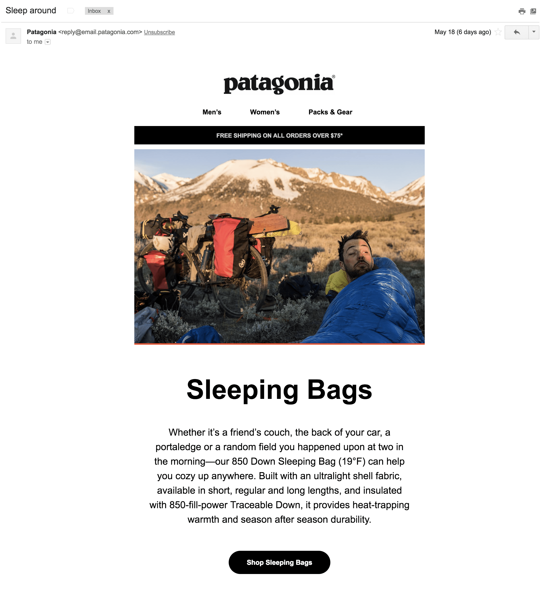 email marketing patagonia