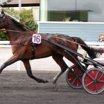 L&rsquo;hippodrome de Caen accueille jeudi l&rsquo;événement captivant du Prix de Cauvicourt avec l&rsquo;attraction HOHNECK