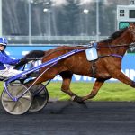 Quinté+ du lundi 10 mars 2025 à Caen : Haddock du Clos, un cheval incontournable à suivre de près