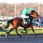 Émotions fortes à Paris-Vincennes le 1er mars 2025 : Ina du Rib et trois légendaires championnes font leurs adieux lors du Prix Henri Desmontils (Gr. I) !
