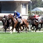 Dimanche 23 février 2025 à Sha Tin : Exploration des potentiels inconnus de Ka Ying Rising en Hong Kong