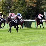 Février : Début du TQQ+ PMU à Vincennes, Paris avec les numéros gagnants 7 – 2 – 14 – 1 – 8