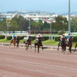 Dimanche 9 mars 2025 à Cagnes-sur-Mer : Le Prix d&rsquo;Albenga pour les Séniors voit la victoire éclatante de Ficimer