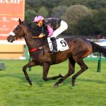 Analyse des cotes du Quinté+ PMU de Samedi à Auteuil : STINGO, un concurrent prometteur dans le Prix Prédicateur