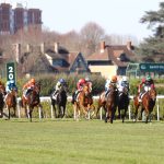 Thunderspeed, un concurrent prometteur pour le quinté+ du 29 mars 2025 à Saint-Cloud dans le prix du Languedoc