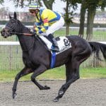 À surveiller : avenue Montaigne dans le prix de Précy pour le quinté+ PMU de jeudi à Chantilly