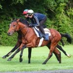 Succès éclatants : &lsquo;PC&rsquo; Boudot triomphe sept fois en seulement 48 heures au Qatar