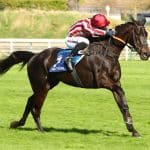 Goliath du Rheu surprend tout le monde lors du prix Murat (Gr. II) à Auteuil le 30 mars 2025