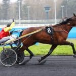 Jeudi 6 février 2025 à Vincennes : Iron Mijack brille au Prix de Marolles, Mathias Potier s&rsquo;affiche parmi les meilleurs