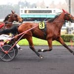 Dimanche à Vincennes – Prix de Monflanquin : Isofou du Chêne dévoile une facette surprenante