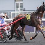 Pronostic du quinté+ PMU de samedi à Paris Vincennes : suivez Kevin Prince dans le Prix d&rsquo;Auxerre