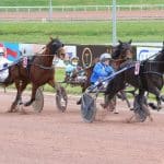 Les 25 et 26 janvier 2025 à Paris-Vincennes : Mathieu Mottier en piste avec plusieurs chevaux prometteurs