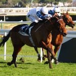 Samedi 22 février 2025 à Cagnes-sur-Mer : Les secrets d&rsquo;un duo victorieux entre Piccone et Pantall ?