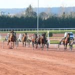 Analyse des résultats et des conclusions du Prix la Lagune (R3C3) du 28 mars 2025