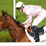 Le Prix Kizil Kourgan à Saint-Cloud : Safia se projette vers un avenir prometteur