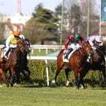 Le quinté+ du samedi 29 mars 2025 à Saint-Cloud : Thunderspeed présente des atouts indéniables