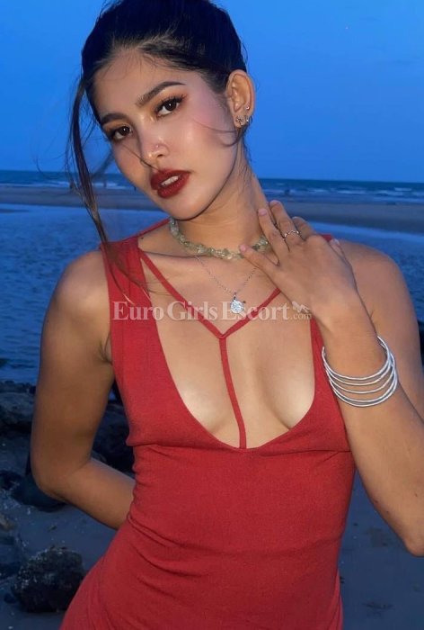 Diva - escort gallery photo 3