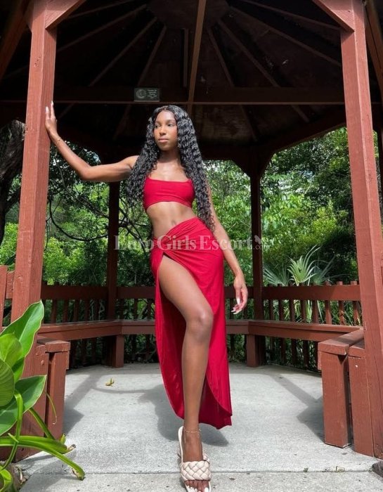 Tina - escort gallery photo 4