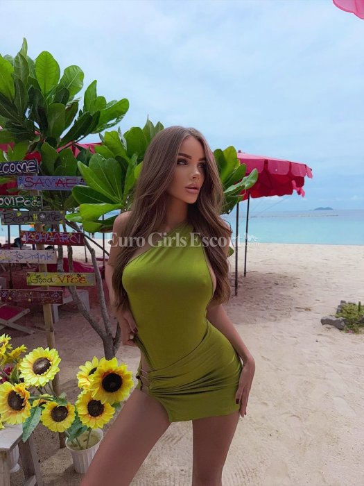 Tina - escort gallery photo 4