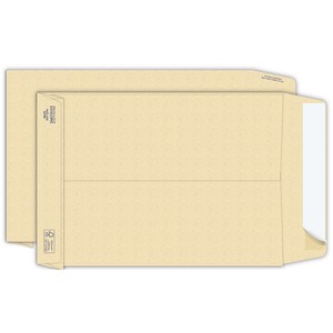 Buste a sacco bianche autoad. removibili Pigna Envelopes Competitor strip  100 g/m² 160x230 mm conf. 500 pz - 0029516 a soli 43.01 € su