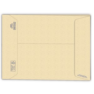 SACCO MULTI LARGE STRIP AVANA PIGNA 19x26cm 100gr